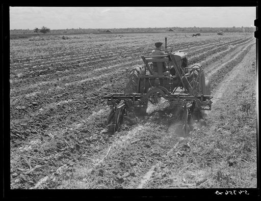 Terrebonne Project. Schriever, Louisiana