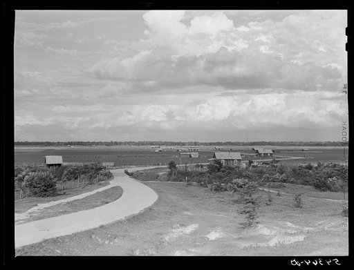 Allen Plantation, operated by Natchitoches farmstead association, a cooperative established through the cooperation of FSA (Farm Security Administration). Louisiana