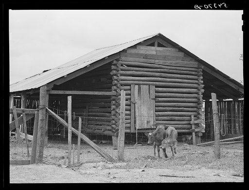 Allen Plantation, operated by Natchitoches farmstead association, a cooperative established through the cooperation of FSA (Farm Security Administration). Louisiana