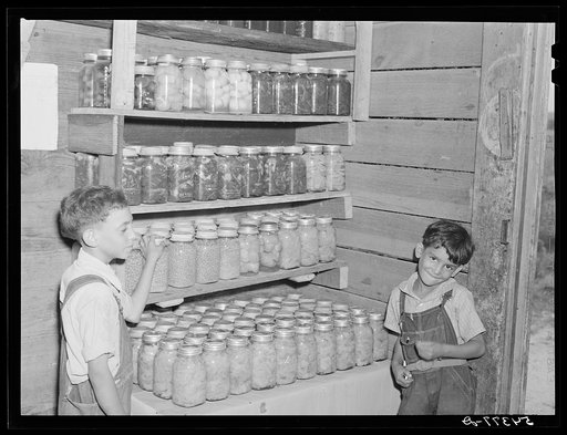 Untitled photo, possibly related to: Allen Plantation, operated by Natchitoches farmstead association, a cooperative established through the cooperation of FSA (Farm Security Administration). Louisiana