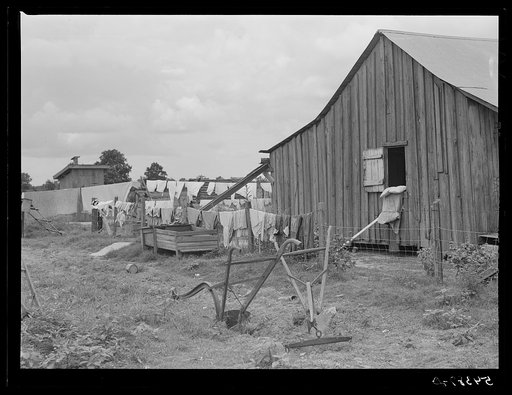 Bayou Bourbeaux plantation operated by Bayou Bourbeaux farmstead association, a cooperative established through the cooperation of the FSA (Farm Security Administration)