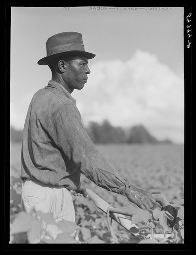 Allen Plantation operated by Natchitoches farmstead association, a cooperative established through the cooperation of FSA (Farm Security Administration). Louisiana