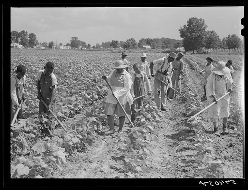 Bayou Bourbeaux plantation by Bayou Bourbeaux farmstead association, a cooperative established through the cooperation of FSA (Farm Security Administration)