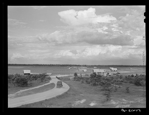 Untitled photo, possibly related to: Allen Plantation, operated by Natchitoches farmstead association, a cooperative established through the cooperation of FSA (Farm Security Administration). Louisiana