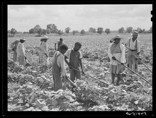Untitled photo, possibly related to: Bayou Bourbeaux plantation by Bayou Bourbeaux farmstead association, a cooperative established through the cooperation of FSA (Farm Security Administration)