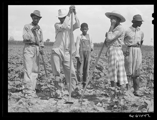 Bayou Bourbeaux Plantation operated by Bayou Bourbeaux farmstead association, a cooperative established through the cooperation of the FSA (Farm Security Administration)
