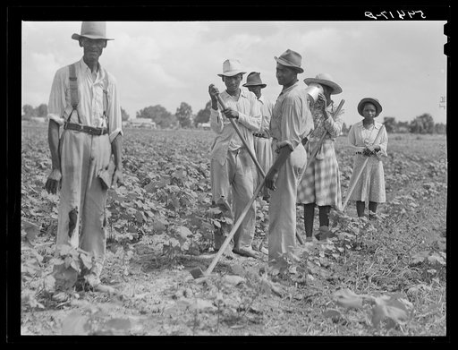 Untitled photo, possibly related to: Bayou Bourbeaux Plantation operated by Bayou Bourbeaux farmstead association, a cooperative established through the cooperation of the FSA (Farm Security Administration)