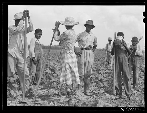 Bayou Bourbeaux Plantation operated by Bayou Bourbeaux farmstead association, a cooperative established through the cooperation of the FSA (Farm Security Administration)