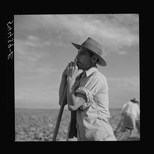 Member of the Allen Plantation cooperative association resting from hoeing cotton. Near Natchitoches, Louisiana