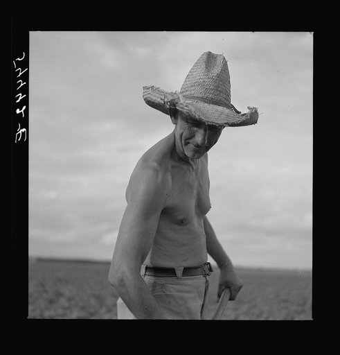 Member of Allen Plantation cooperative association hoeing cotton. Near Natchitoches, Louisiana