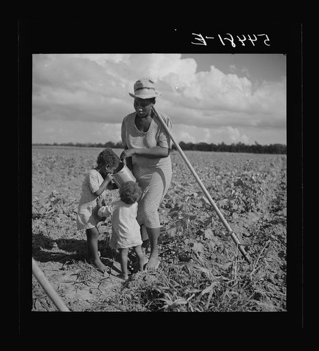 Member of Allen Plantation cooperative association resting while hoeing cotton. Near Natchitoches, Louisiana