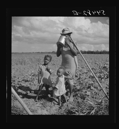 Member of Allen Plantation cooperative association resting while hoeing cotton. Near Natchitoches, Louisiana