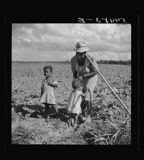 Untitled photo, possibly related to: Member of Allen Plantation cooperative association resting while hoeing cotton. Near Natchitoches, Louisiana