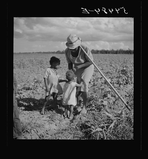 Untitled photo, possibly related to: Member of Allen Plantation cooperative association resting while hoeing cotton. Near Natchitoches, Louisiana