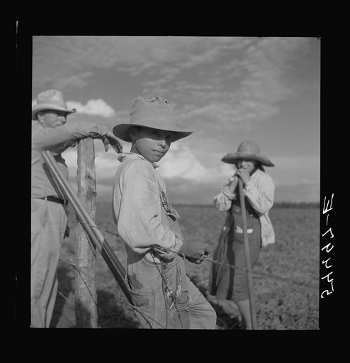 Untitled photo, possibly related to: Member of Allen Plantation cooperative association resting from hoeing cotton. Near Natchitoches