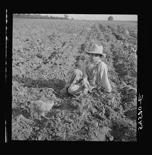 Untitled photo, possibly related to: Son of member of Allen Plantation cooperative association resting after hoeing cotton. Near Natchitoches, Louisiana