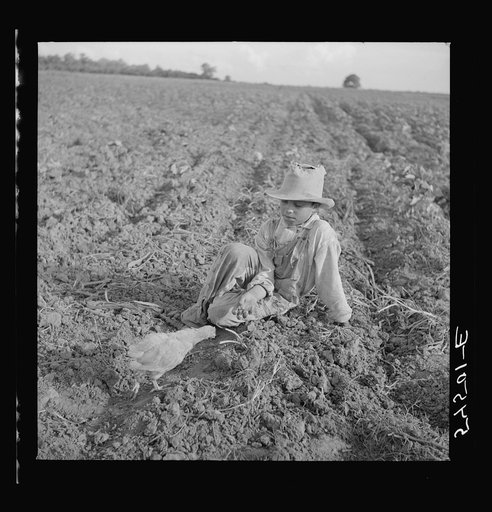 Son of member of Allen Plantation cooperative association resting after hoeing cotton. Near Natchitoches, Louisiana