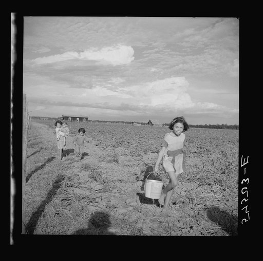 Daughter of member of Allen Plantation cooperative association carrying water to her mother who is chopping cotton in the field. Near Natchitoches, Louisiana