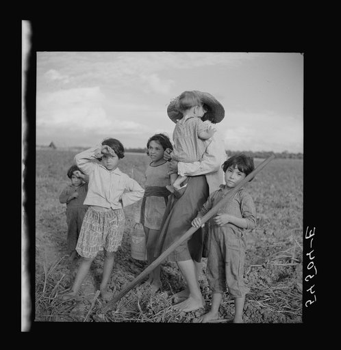 Untitled photo, possibly related to: Member of Allen Plantation cooperative association resting from hoeing cotton. Near Natchitoches, Louisiana