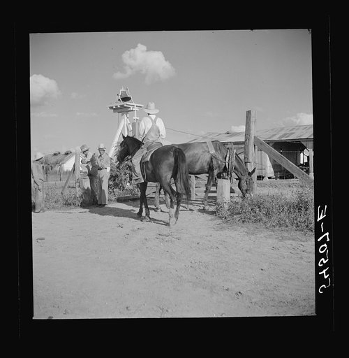 Untitled photo, possibly related to: Members of the Terrebonne Project, Schriever, Louisiana, taking the mules from the barn out to the field after the noon hour