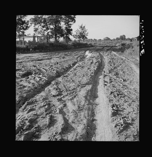 Untitled photo, possibly related to: Melrose, Natchitoches Parish, Louisiana. Mulatto riding to crossroads store to get supplies after heavy rains