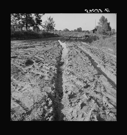 Untitled photo, possibly related to: Melrose, Natchitoches Parish, Louisiana. Mulatto riding to crossroads store to get supplies after heavy rains