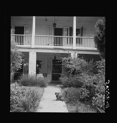 Untitled photo: possibly related to: Melrose, Natchitoches Parish, Louisiana. Main house on the John Henry cotton plantation, which was built by mulatto Augustin Metoyier for his son Louis. It was originally called Yucca Plantation (from Spanish). See general caption
