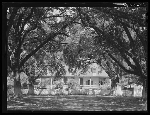 Melrose, Natchitoches Parish, Louisiana. Old plantation home in cotton region, La Cote Joyeuse Bermuda, belonging to Prudhomme family