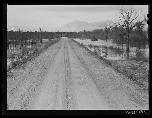 Melrose, Natchitoches Parish, Louisiana. Road leading to Black Lake, excellent fishing area