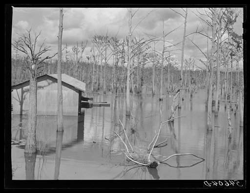 Melrose, Natchitoches Parish, Louisiana. Black Lake, great fishing area