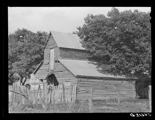 Melrose, Natchitoches Parish, Louisiana. "Trinity" barn by mulattoes' home in cotton plantation area