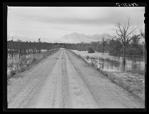 Untitled photo, possibly related to: Melrose, Natchitoches Parish, Louisiana. Road leading to Black Lake, excellent fishing area