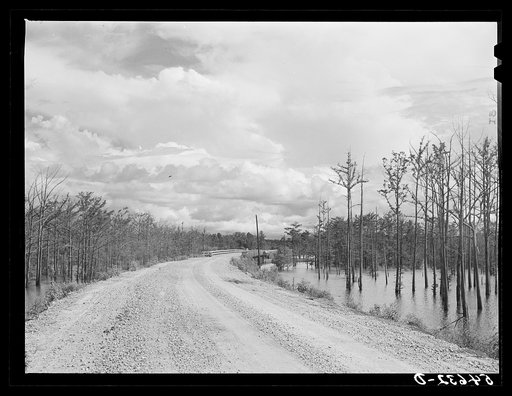 Melrose, Natchitoches Parish, Louisiana. Road leading to "Black Lake", excellent fishing grounds in this area