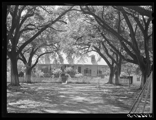 Untitled photo, possibly related to: Melrose, Natchitoches Parish, Louisiana. Old plantation home in cotton region, La Cote Joyeuse Bermuda, belonging to Prudhomme family