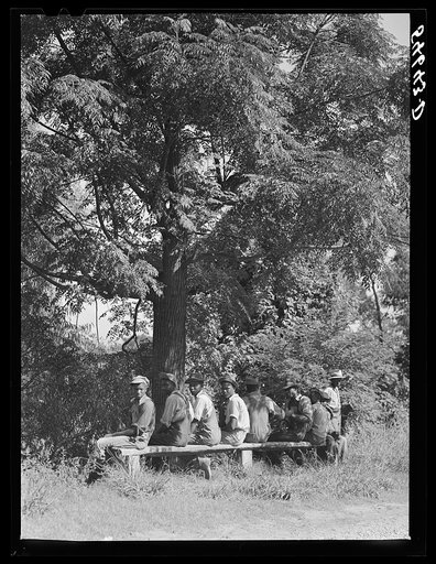 Melrose, Natchitoches Parish, Louisiana. Waiting for cotton fields to dry out for cultivation after weeks of rain in plantation area