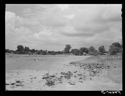 Melrose, Natchitoches Parish, Louisiana. Cane River, excellent fishing grounds