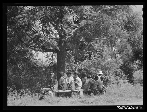 Untitled photo, possibly related to: Melrose, Natchitoches Parish, Louisiana. Waiting for cotton fields to dry out for cultivation after weeks of rain in plantation area