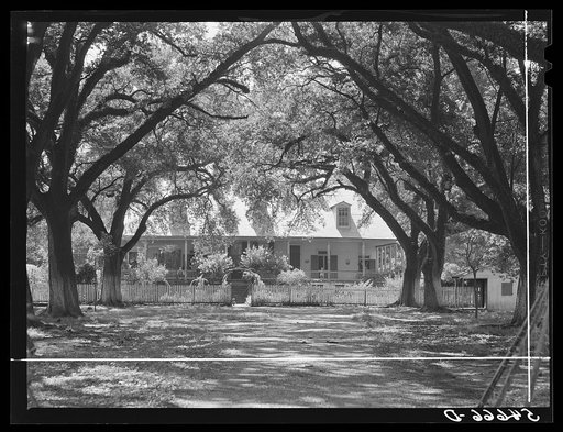Melrose, Natchitoches Parish, Louisiana. Old plantation home in cotton region, La Cote Joyeuse Bermuda, belonging to Prudhomme family