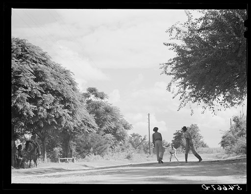 Melrose, Natchitoches Parish, Louisiana. Waiting for cotton fields to dry out for cultivation after weeks of rain on plantation area