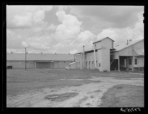 Gin and seed storage house. Hopson cotton plantation. Clarksdale, Mississippi Delta. Mississippi