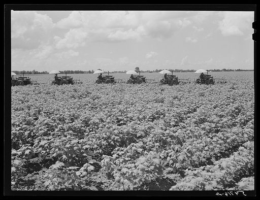 Untitled photo, possibly related to: Tractors have taken the place of the mule and the plow on Hopson Plantation where day labor is used almost exclusively, displacing the old tenants on the place. Clarksdale, Mississippi Delta, Mississippi