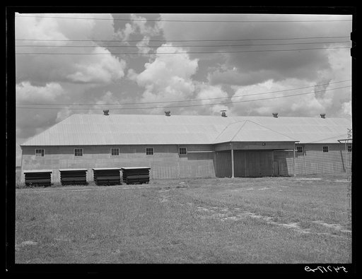 Seed house and portable cotton houses on Hopson cotton plantation. Clarksdale, Mississippi Delta, Mississippi