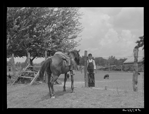 Untitled photo, possibly related to: The horse is a frequent means of transportation on the country roads and around the plantations near Melrose, Natchitoches Parish, Louisiana