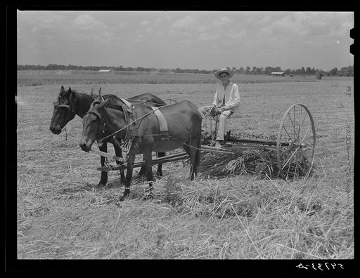 Allen Plantation operated by Natchitoches farmstead association, a cooperative established through the cooperation of FSA (Farm Security Administration). Louisiana