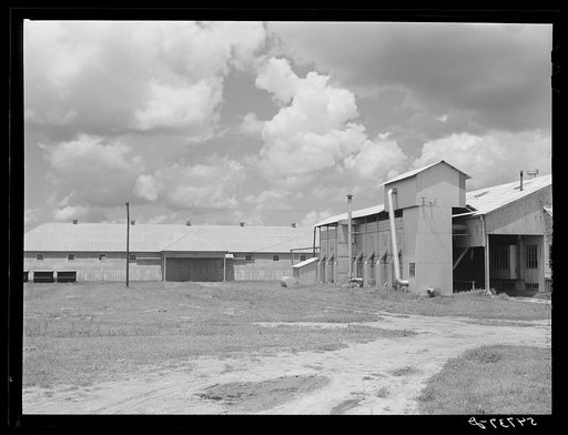 Untitled photo, possibly related to: Seed house and portable cotton houses on Hopson cotton plantation. Clarksdale, Mississippi Delta, Mississippi