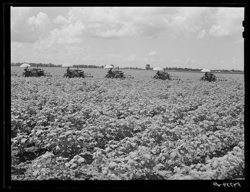 Tractors have taken the place of the mule and the plow on Hopson Plantation where day labor is used almost exclusively, displacing the old tenants on the place. Clarksdale, Mississippi Delta, Mississippi