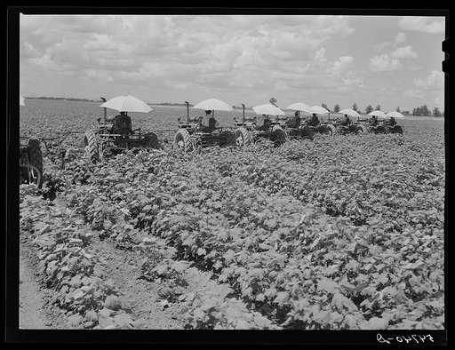 Tractors have taken the place of the mule and the plow on Hopson Plantation where day labor is used almost exclusively, displacing the old tenants on the place. Clarksdale, Mississippi Delta, Mississippi