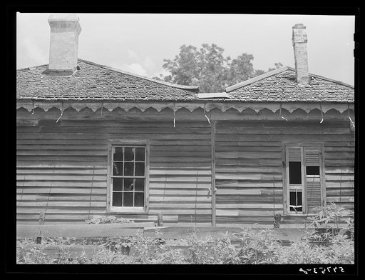 Untitled photo, possibly related to: Rodney, Mississippi
