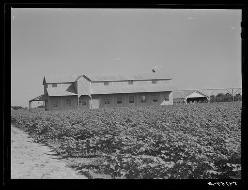 New cotton gin on King and Anderson Plantation near Clarksdale. Mississippi Delta, Mississippi