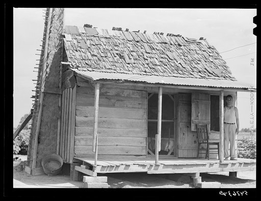 Untitled photo, possibly related to: Melrose, Natchitoches Parish, Louisiana. Old tenant house with mud chimney and cotton up to its door occupied by mulattoes on plantation